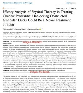 Dispositivo digital de terapia de próstata <span class=keywords><strong>para</strong></span> el <span class=keywords><strong>tratamiento</strong></span> de la prostatitis crónica C y La BPH - Product Image 4