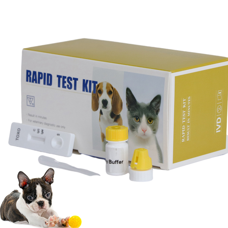 Kit de Prueba Rápida de Mascotas para Pruebas de Diagnóstico Rápido de Gato FPV / FCoV / Giardia