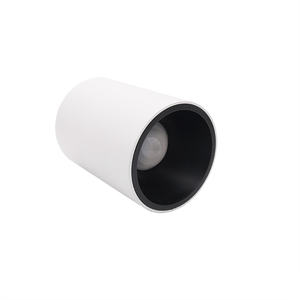 <span class=keywords><strong>Plafond</strong></span> de déflecteur en aluminium commercial AC 220-240V 30000 monté en surface avec IP65 sans gradateur lumières LED Downlights 65 - Product Image 2