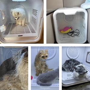 53L Automatische Huisdierverzorgings- en Droogmachine - Professionele Katten Droogbox - Producten voor Huisdierverzorging en -reiniging - Product Image 5