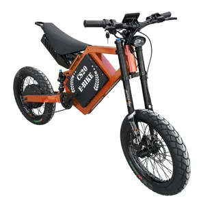 Paige-Bicicleta eléctrica de montaña, bici de montaña, con marco de 2 ruedas, kit de 3000W, conversión con batería de 27,5 W