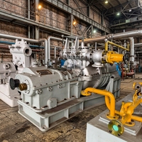 Générateur de turbine à vapeur pour chaudière à combustible à base de balles de riz et projets de centrales électriques à biomasse