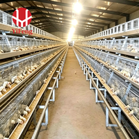 Cage d'élevage avicole de type A avec alimentation automatique pour l'élevage de poussins pondeurs, équipement commercial d'élevage de poulets pour l'exportation