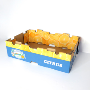 Caja de Embalaje para Frutas Impresa con Logotipo Personalizado para Entrega de Frutas y Aplicaciones de Exportación - Product Image 1