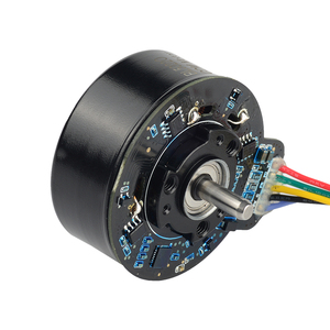 Mô-tơ DC không chổi than Bl50250-006 50mm cho súng massage - Product Image 6