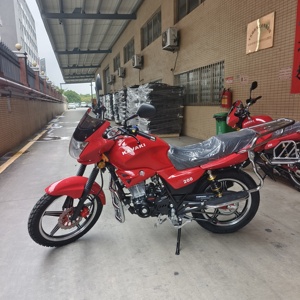 Nueva Motocicleta <span class=keywords><strong>Enduro</strong></span> 2026 de Alta Velocidad, 200cc, de Gasolina, 4 Tiempos, Pit Bike 150cc, Motocross, Arranque Eléctrico - Product Image 6