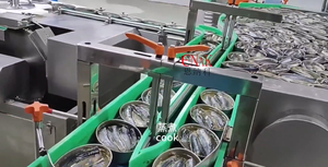 خط إنتاج الأسماك المعلبة من ENAK، مشروع متكامل لتصنيع سمك الرنجة والتراوت والتونة وسمك السلطعون المعلب - Product Image 5