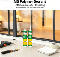 Scellant polymère MS résistant aux intempéries, adhésif flexible pour le jointement des cadres de verrière et de serre en verre