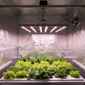 Barra de Luz LED Samsung Comercial para Cultivo, Plegable, para Invernadero Interior, Conexión en Cadena, Regulable, 720W, Espectro Completo - Product Image 1