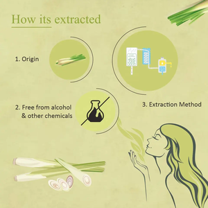 Aceite esencial de planta de limoncillo 100% puro y natural para difusor de aromaterapia - Product Image 6