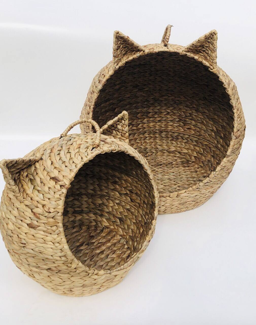 ช็อกโกแลต