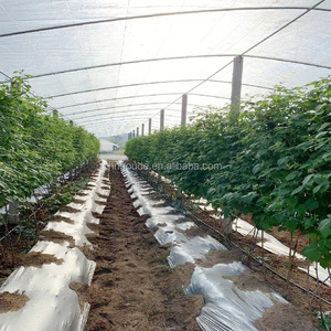 Film tissé en PE résistant aux UV et aux pluies acides / Toile transparente anti-goutte / anti-buée pour vergers de cerisiers, serres / - Product Image 6