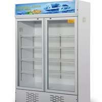 Réfrigérateur commercial à dégivrage automatique, double porte, vitrine verticale, refroidisseur de vin, de jus, de bière, de boissons, équipement de réfrigération