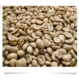 Green Arabica Coffee Beans Organic Wash Process S16 with 98% Maturity Hot Selling Cherries Made In Vietnam Low Price