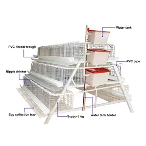 Cage à poulet pour volaille, équipement de ferme, vente directe d'usine