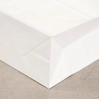 Sacs en carton biodégradables personnalisés avec logo, résistants à la graisse, poignées en patch, emballage de haute qualité, impression numérique, champagne