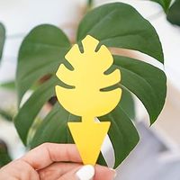 Pièges collants jetables en PVC solide imperméable en forme de feuille de Monstera pour les fourmis, lutte antiparasitaire domestique, 12/24/48 pièces