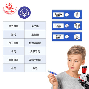 สไลด์ไมโครสโคปสำหรับการศึกษาปฐมวัยของเด็ก ชุด 12 สไลด์ ทำจากพลาสติก ประกอบด้วยตัวอย่างสัตว์ - Product Image 2