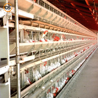 Prix compétitif, structure en acier préfabriquée certifiée ISO, poulailler moderne, structure en acier pour l'élevage, hangar