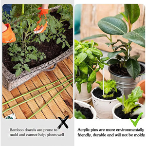 Que acrylic trong suốt hình trụ tùy chỉnh, que kẹo mút, que làm bánh, que acrylic mini tự làm để giữ bánh quy - Product Image 5