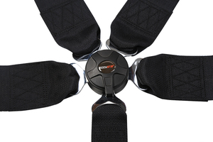 EDDYSTAR, cinturón <span class=keywords><strong>de</strong></span> seguridad <span class=keywords><strong>de</strong></span> 5 puntos, certificado SFI <span class=keywords><strong>para</strong></span> cinturón <span class=keywords><strong>de</strong></span> seguridad <span class=keywords><strong>de</strong></span> coche <span class=keywords><strong>de</strong></span> carreras - Product Image 6