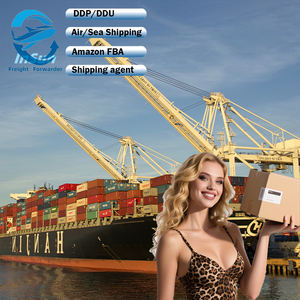 Spedizioniere professionale trasporto via mare aereo pick-to-porta a USA Francia Amazon magazzino FBA etichettatura gratuita consegna rapida - Product Image 1