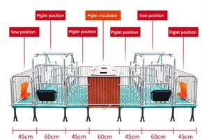 Cama de parto de cerdas galvanizada personalizada, jaula de maternidad para cerdos, jaulas de maternidad para cerdos, jaulas de parto para cerdos - Product Image 3