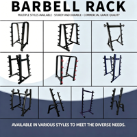 Support de rangement vertical pour plaques de poids de musculation, pour salle de sport