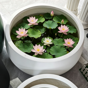 Décoration pour maisons, grands pots à plantes, jardinières en FRP Lotus, pots d'extérieur pour plantes - Product Image 6