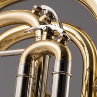 OEM BB Tone Gold Lacquer Brass Music Instrument Baritone