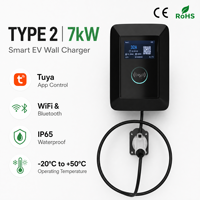 Borne de recharge murale pour véhicules électriques 7 kW Type 2 32A Monophasé WiFi APP OCPP 1.6J DLB IP65 pour Tesla BYD BMW