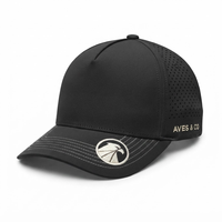 Casquette de baseball OEM personnalisée haute performance, perforée au laser, noire, à visière incurvée, avec broderie, pour sports de plein air