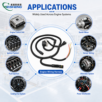Kabel Harness Mesin Kapal Laut Kustom, Perakitan Kabel Mesin Kapal Tahan Air IP67 OEM ODM ABYC Langsung dari Pabrik