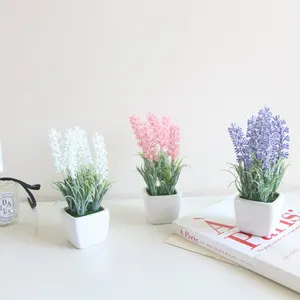 新型现代家居创意简约花卉植物多汁花盆小型陶瓷花盆