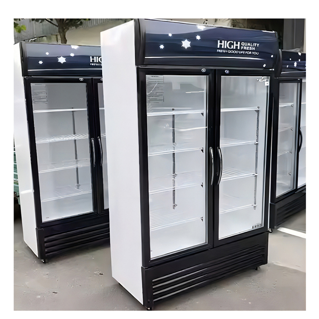 Frigidaire Double Door pepsi Fridge Frezzer Commercial Freezer 2 Doors Refrigerator air Cooled Chiller
