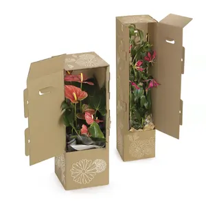 Good Quality Shipping Potted Live Natural Plant Packing Box Wholesale Rigid Paper Boxes For Flower