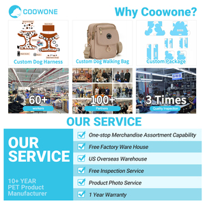 Özel İşlemeli Tasarımcı Köpek Tasması ve Kayışı Seti Lüks Ayarlanabilir Köpek Tasması Seti Üreticisi OEM ODM Fabrikası - Product Image 4