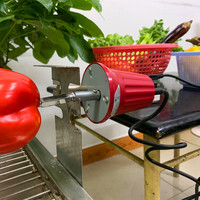 Moteur de rôtissoire électrique 220V AC pour barbecue brésilien extérieur