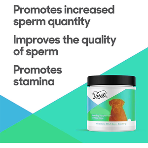 Stallion Dog Supplément en poudre pour les soins de santé des animaux de compagnie Le soutien de la fertilité encourage l'excitation Endurance Augmentation du nombre de spermatozoïdes pour - Product Image 4
