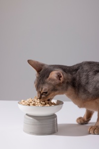 Lovidovi Alimentation en Gros : Mélange de Nourriture Essentielle Lyophilisée pour Chats avec Croquettes, Aliment Sain pour Animaux Néutre en Allergènes, 300g/Boîte - Product Image 3