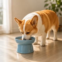 Gamelle surélevée en céramique pour chiens et chats – Motif uni, étanche et écologique