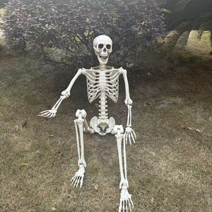 Scheletri di Halloween Economici da 160 cm (5,4 Piedi) per Interni ed Esterni, in Posizioni Umane, in Vendita - Product Image 2