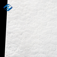 Spunbond-Vliesstoff, weicher, hydrophiler Vliesstoff für Windeln, Spunlace-Rohmaterial