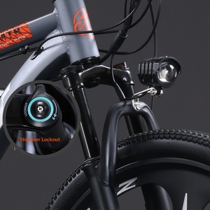 Bicicleta de Montaña Personalizable con Motor Central de Aluminio, Asistencia Eléctrica de Litio, Ultraligera, Directo de Fábrica, LD02-36 - Product Image 3