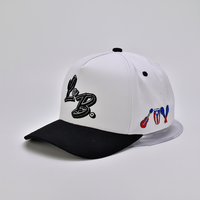 Gorras Snapback de Dos Tonos al por Mayor para Hombre y Mujer, Gorra de Béisbol Trucker Moderna y a la Moda, con Logotipo Personalizado Impreso, Cómoda, Duradera y Casual