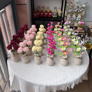 Best Gift for Mother's Day <strong>Handmade</strong> <strong>Crochet</strong> Carnation Potted Plants Colorful Hand <strong>Knitted</strong> Wool Yarn Home Decor Artificial <strong>Flower</strong> - Product Image 5