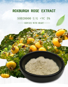 Superoxidodismutasa (SOD) Natural de Rosa Roxburgh 150000u/g - Product Image 4