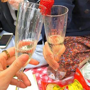 Disposable Thickened Stemmed Plastic Champagne Glass 210ml For Picnic Beverage Use - Product Image 3