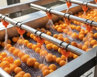 Commerciële 304 roestvrijstalen borstelwasmachine Automatische fruit- en groentewasmachine voor aardappel, wortel, appel, citrusvruchten