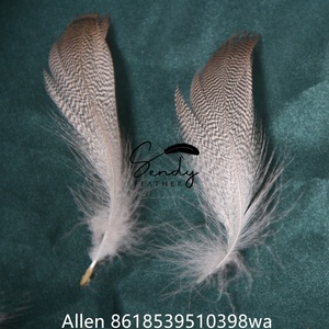 Bán Buôn Lỏng Tự Nhiên Mallard Sườn Vịt Bộ Lông Teal Vịt Cdc Lông Cho Fly Buộc Câu Cá Mồi - Product Image 4